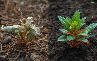 Listening to Your Body: How Small Changes in Hydration Can Make a Big Difference