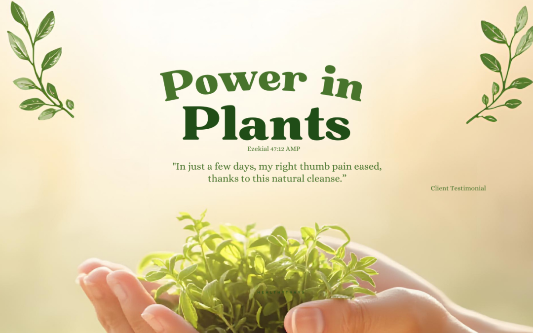 The Healing Power of God’s Provision: Plants as Medicine.